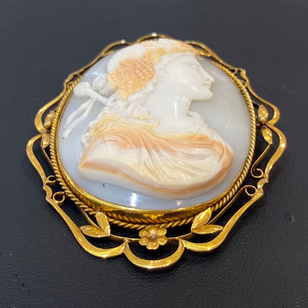 インコレカメオアート額装バッカなリアン送料込み250328